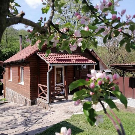 Зачаровані Карпати, Воловець Esterno foto