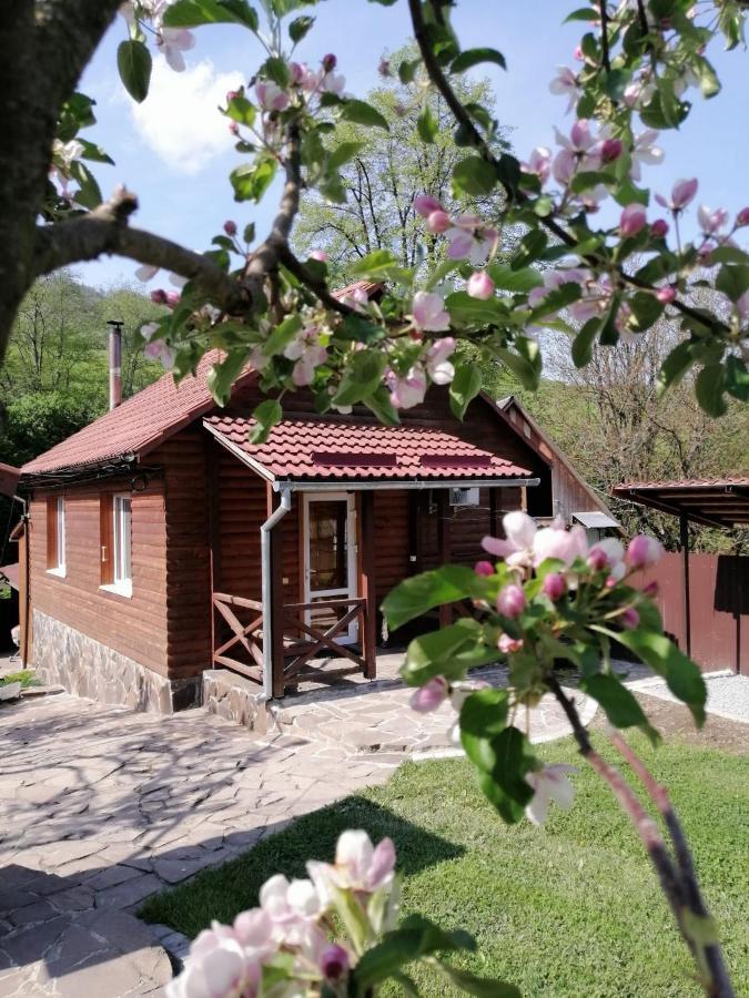 Зачаровані Карпати, Воловець Esterno foto
